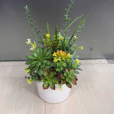 Chậu sen đá mix trang trí kệ tủ